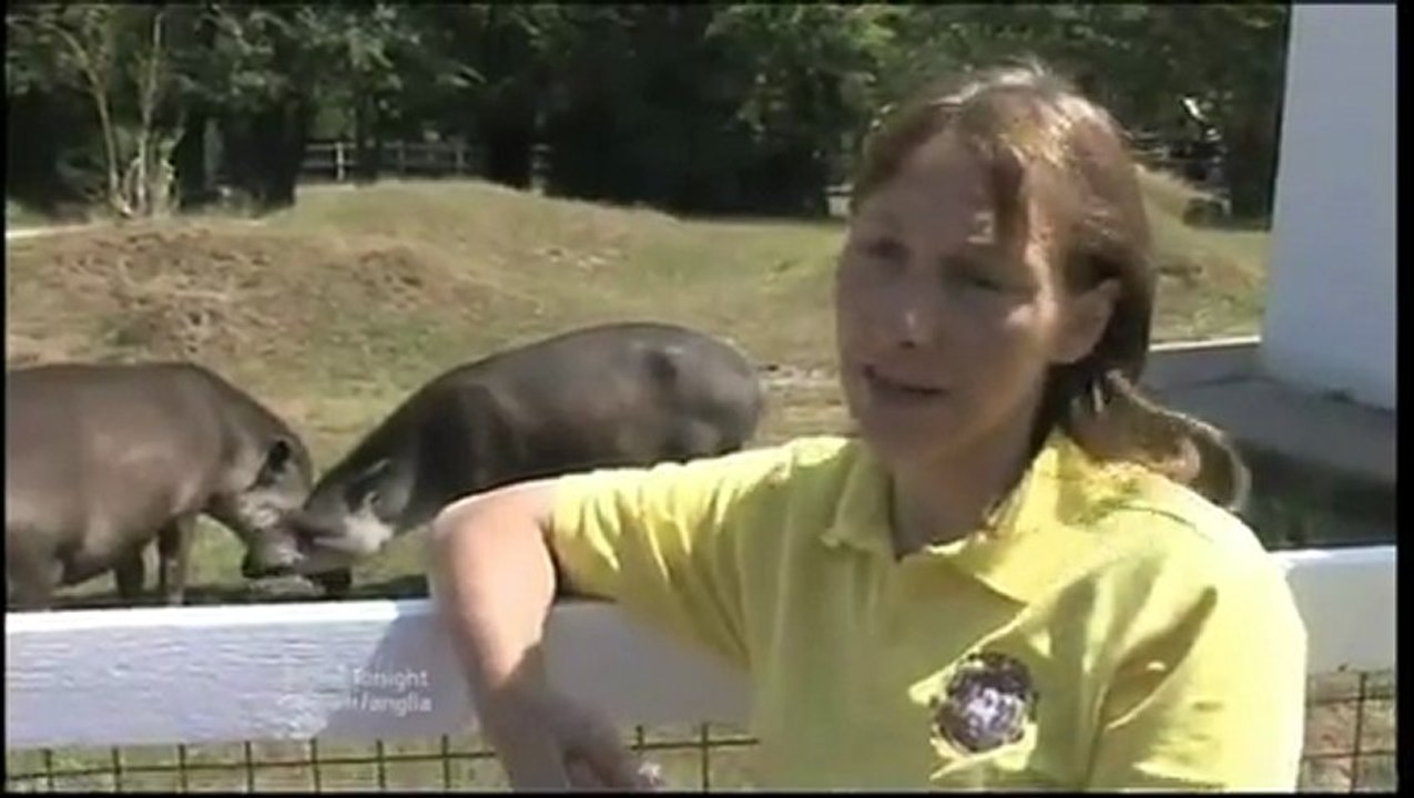 Anglia News Amanda Holden And Others Celebrities At Memorial Service & Latitude Festival 2010