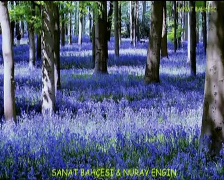 ŞEVVAL SAM     - MENEKŞE GÖZLER HÜLYALI