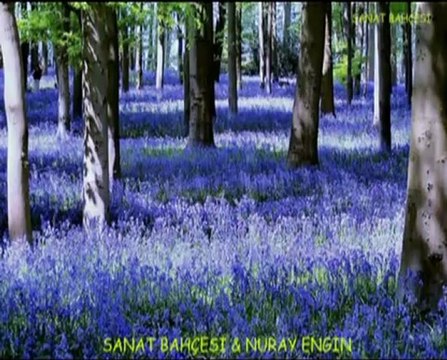 ŞEVVAL SAM - MENEKŞE GÖZLER HÜLYALI