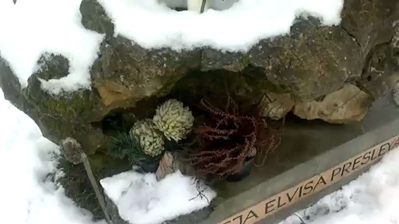 pomnik elvisowy