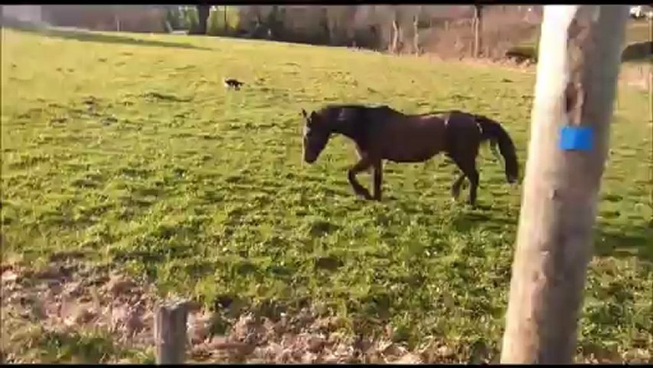 Petite visite à Lola.