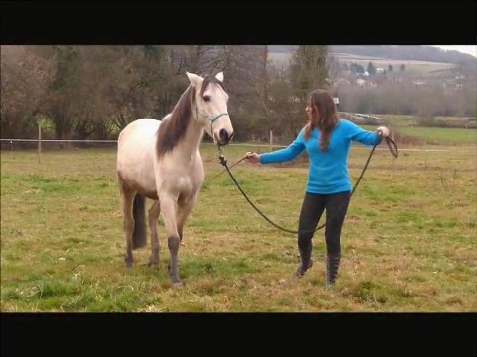 Kitsu, travail à pied.