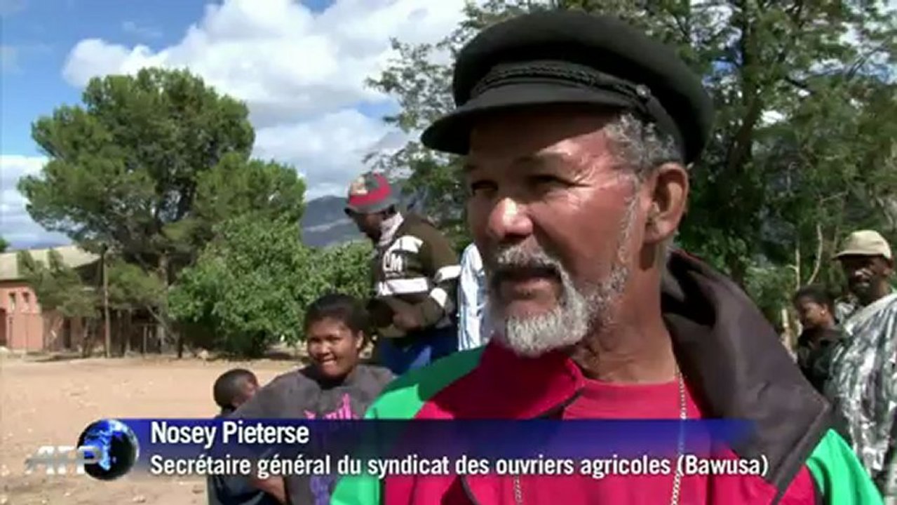 Afrique du Sud: incidents entre ouvriers agricoles grévistes et policiers