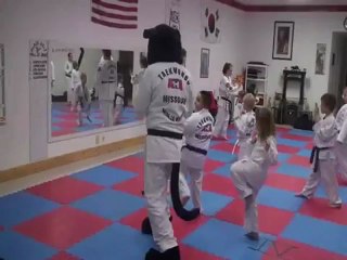 Ninja Kitty Doing Karate