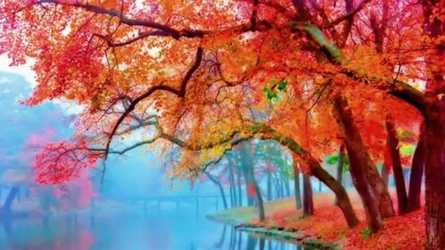 ERDAL ERZİNCAN- ARPA EKTİM EVLEK EVLEK