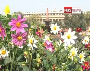 Presidential poll on July 19, counting on July 22  CEC.mp4