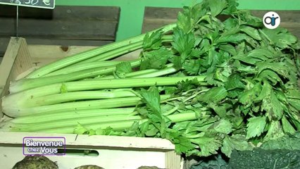 Bienvenue Chez Vous du 10 janvier 2013 Partie 1