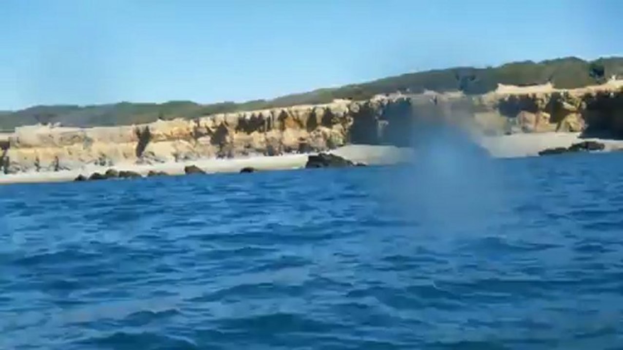 Les journées Papounet  Samedi 08 Septembre 2012