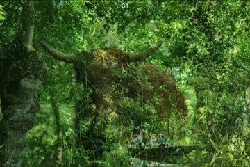 Comment faire Marais poitevin