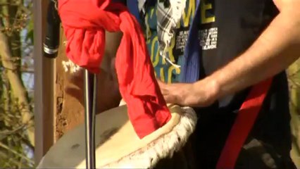 Né quelque part - Studios Lyrics - Relais Jeunes Brunoy