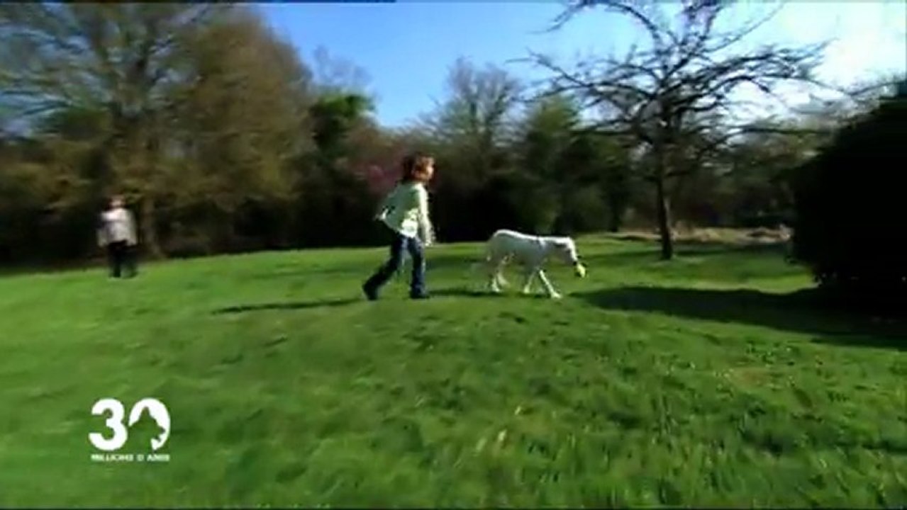 Les enfants et les chiens