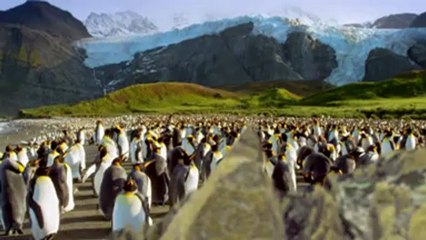 Penguen Kral 3D - Beyazperde