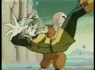 le prince saiyejin vegeta 1