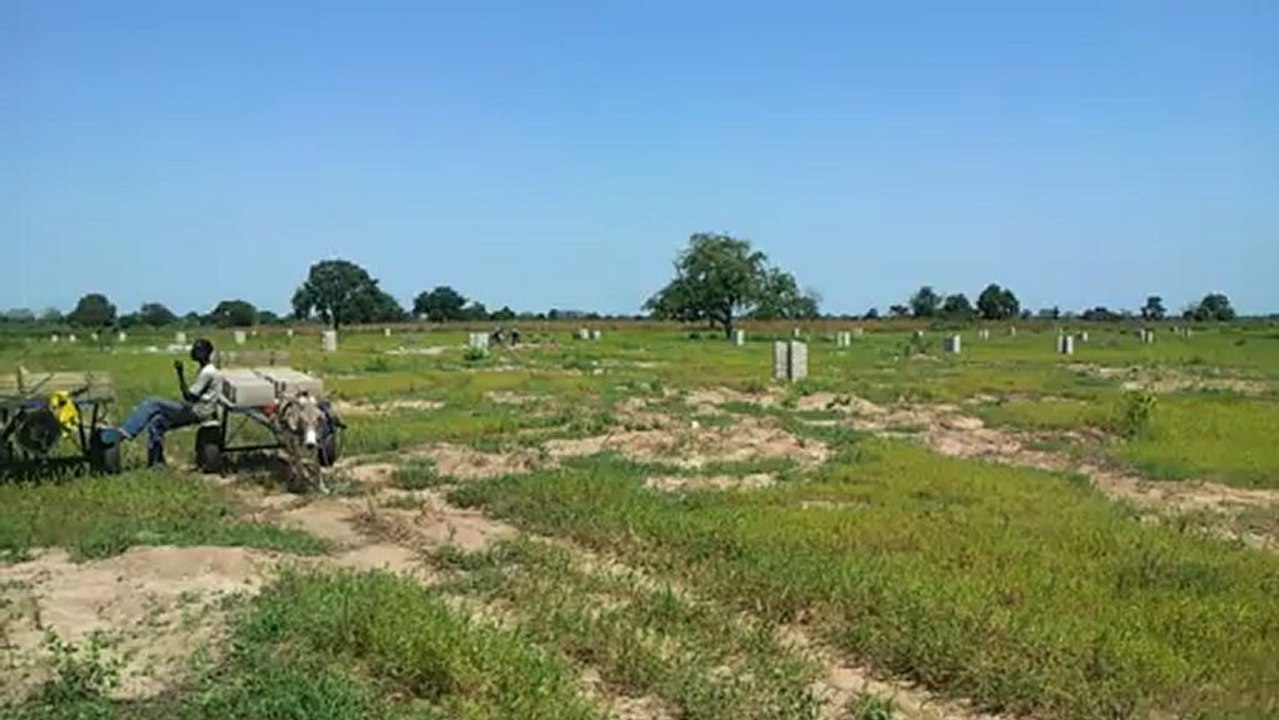 Salomon MBUTCHO et Le Groupe SCAC Afrique : Bornages et niches partiels à Kaolack au Sénégal