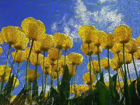 ODAM KİREÇTİR BENİM -Ney- Kaval - İnstrumental Music