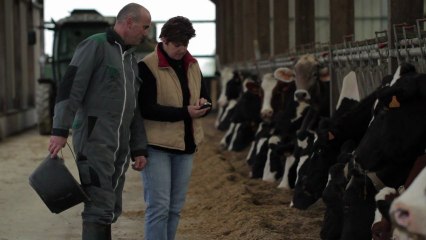[FR] M2M : des vaches connectées pour la détection du velage [VIDEO]