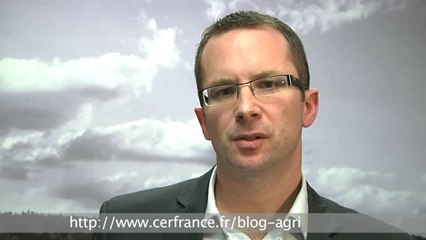 Le marché de la tomate par Fabien Barrabé