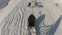 Ballade à chiens de traîneaux