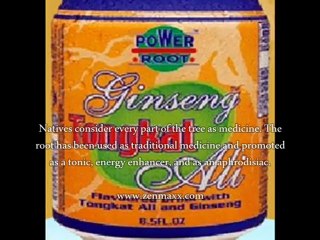 Power Root Tongkat Ali Reviews - Does Power Root Tongkat Ali Work?