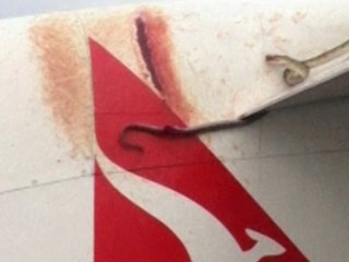 Un python voyage sur l'aile d'un avion