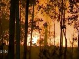 Accalmie sur le front des incendies en Australie