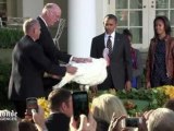 Thanksgiving : Barack Obama épargne deux dindes