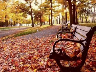 Ney Neva Fon Müziği