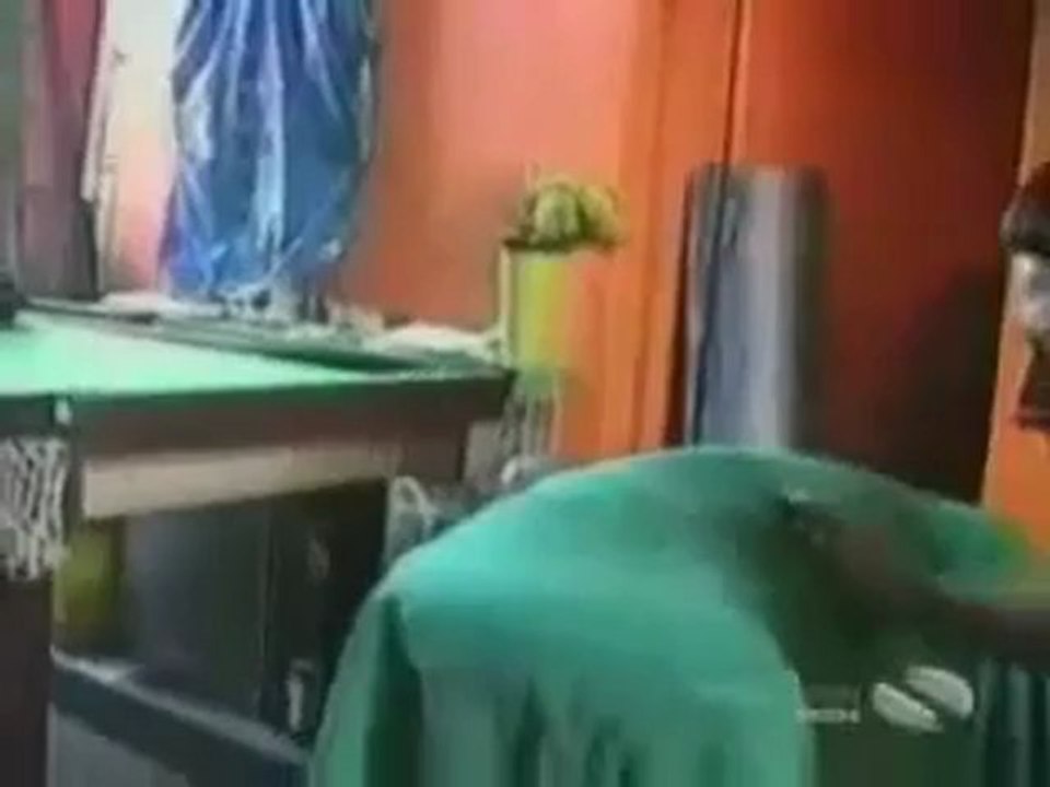 funny cats and dogs - YouTube_clip4Perikizi.Net