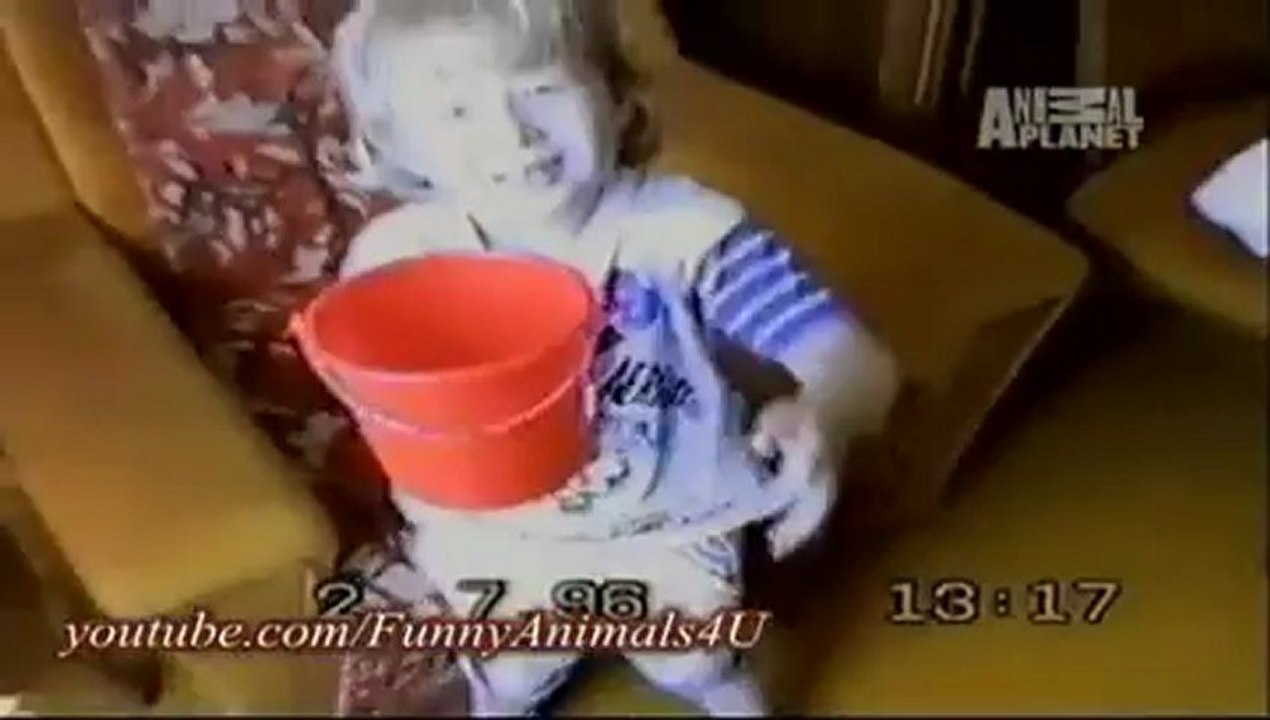 Funny Animals 1_clip6Perikizi.Net