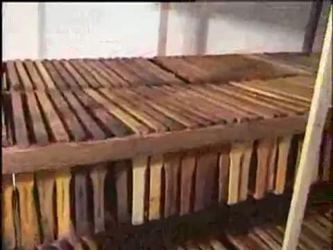 Balın özellikleri Önemi ve Hasadı 2 ( Balın hasadı içeriği ve faydaları)