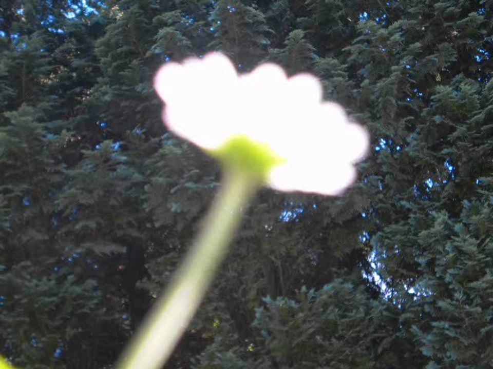 Gut, das es dich gibt !