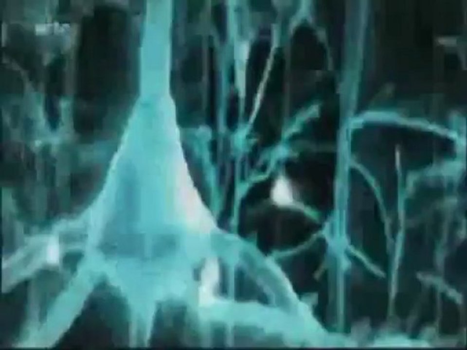 La première impression : est-elle fiable ?