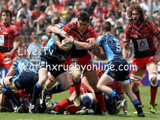 Watch The Live Rugby Zebre vs Biarritz Online Stream