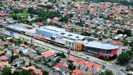 Los Profesionales: Tiny Winy