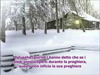 La donna deve coprire i suoi piedi durante la salat, sono un awra? Sheikh Luhaidan sottotitolato in IT