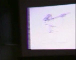 Aulós Doble 25: La Profesión