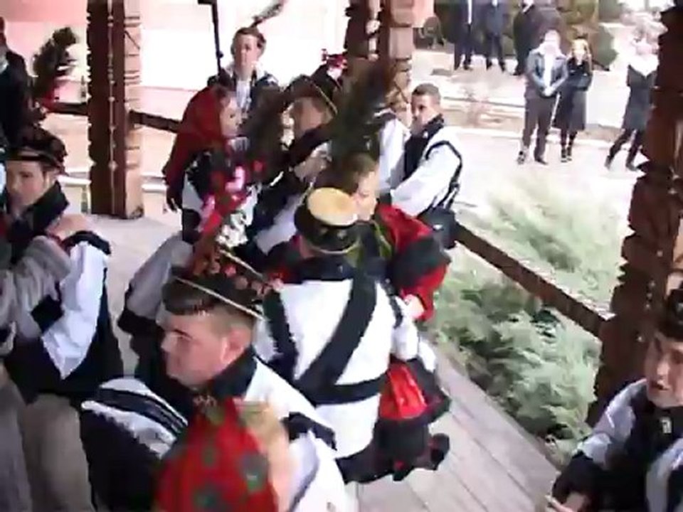 Dantz Ciuperca Certeze 2012