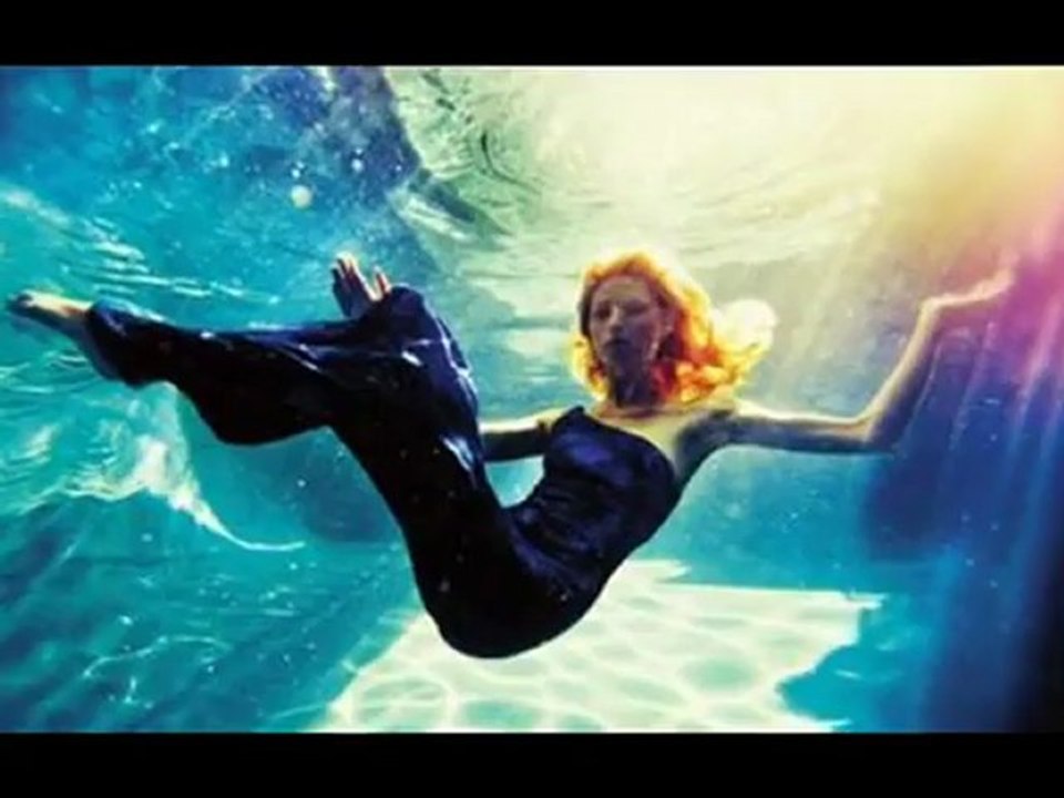 Extrait portfolio Erick Seban-Meyer (ButterFly 1)