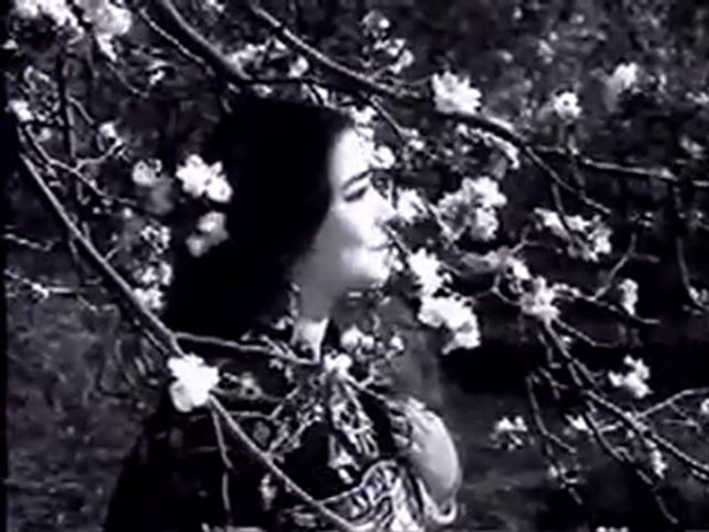 baharon mera jeevan bhi sanwaro song