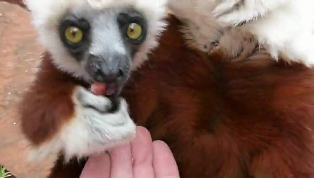 Madagascar