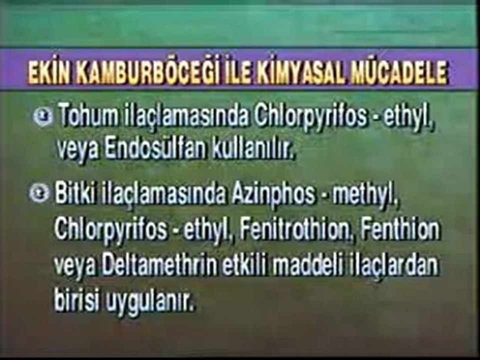 13TZYB