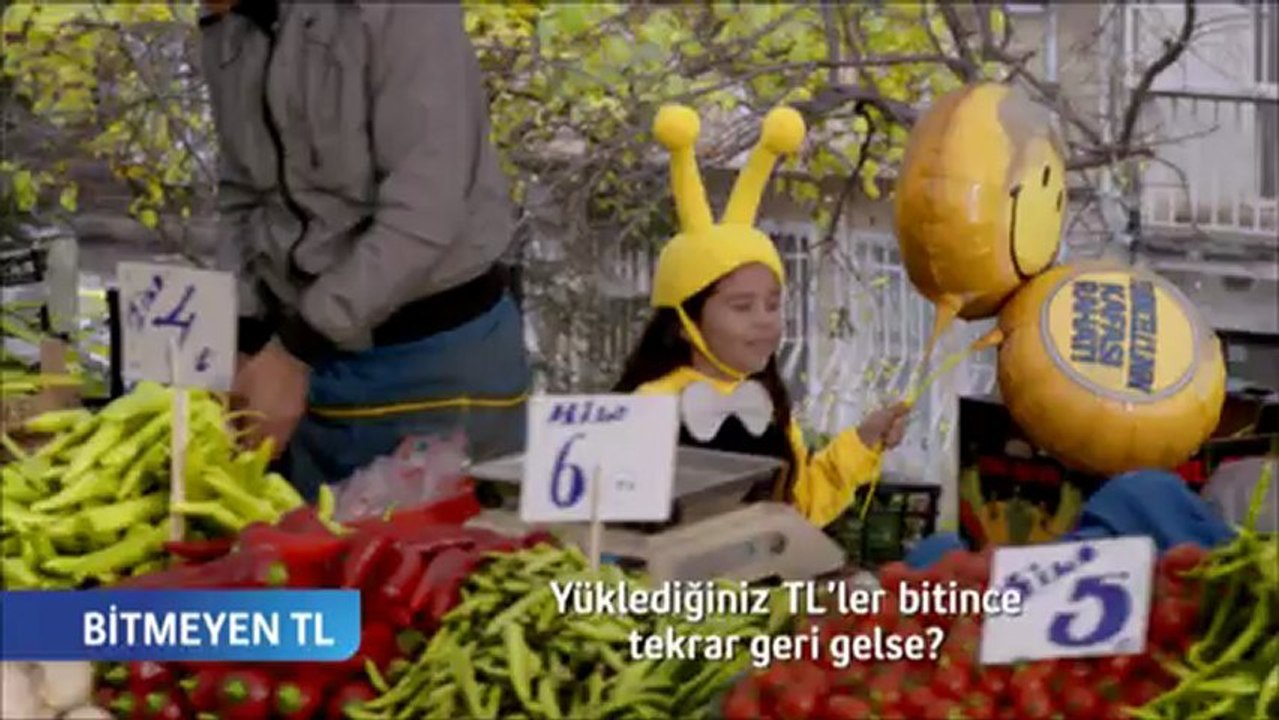 Bitmeyen TL