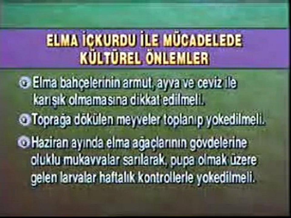 10IİMZYB