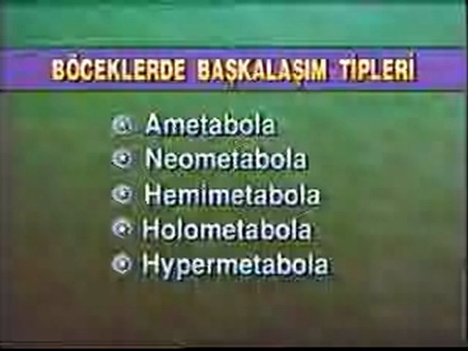 9BCKLR