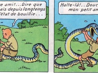 Tintin : Le Temple du Soleil // 08 // Epic Time !