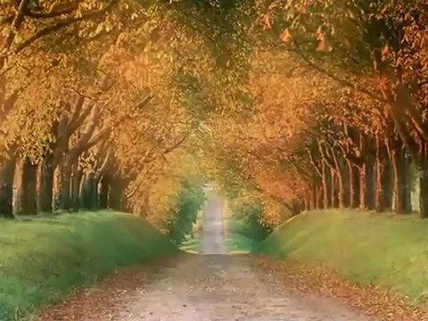 Seslisohbet,Seslichat,NefesPanel Wep Tasarım SesliSTANBUL,Seslizirvem,seslio, Erkan KIZILASLAN Dili Yok Kaderin