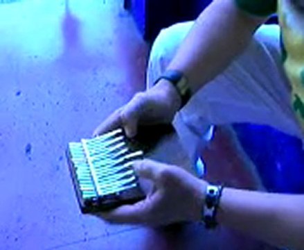 MARRAKECH - MAJORELLE GARDEN - CLEMATRIX J'IRAI JOUER CHEZ VOUS