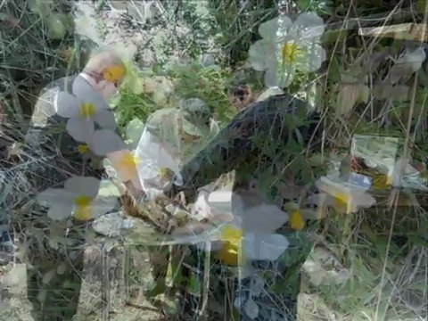 Sortie du 4x4 Club de Steinbourg