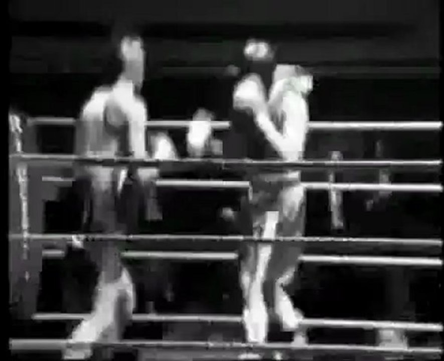 David Haye 2013        (www.Boxen.de)