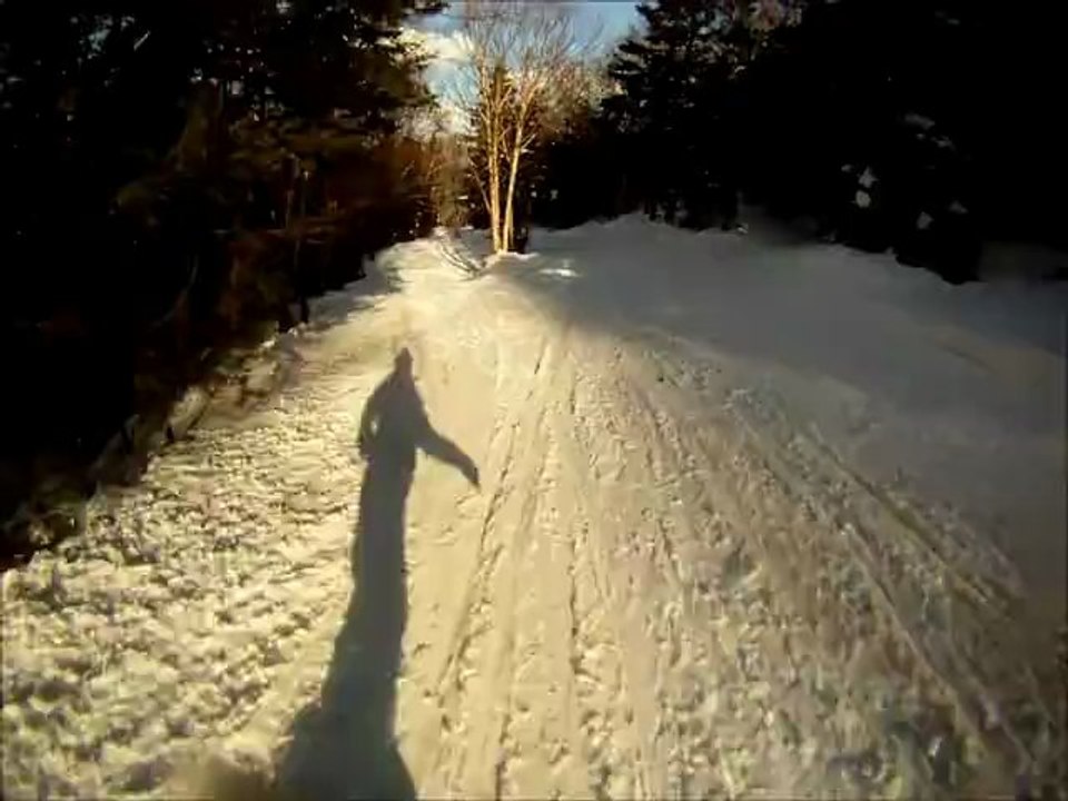 OKEMO